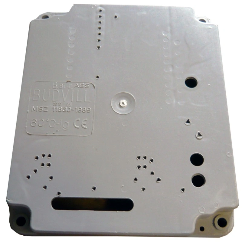 BUDT31005