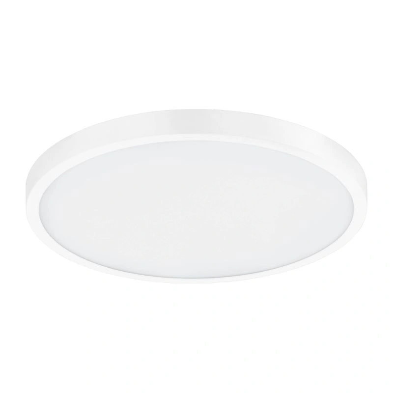 EGL98293
