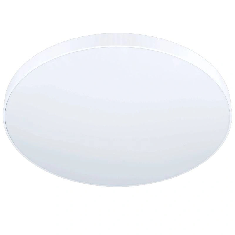 EGL98893