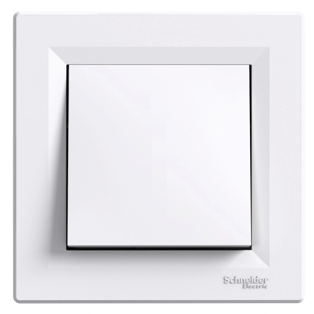 SCHEPH0400421