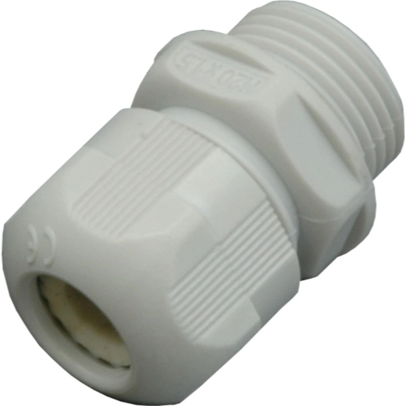 SEZ1000705700