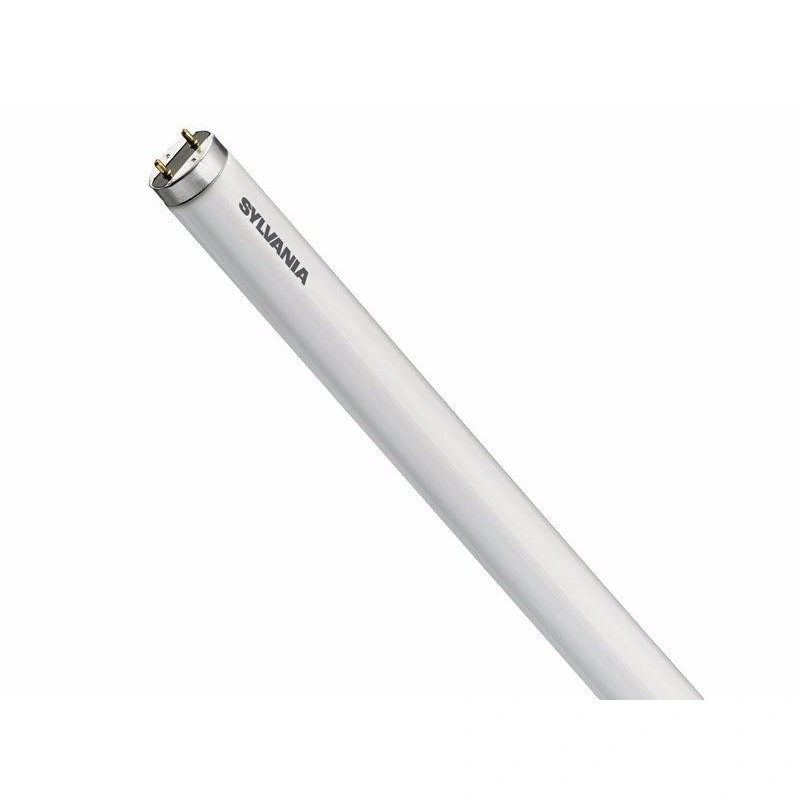 SYL0001816
