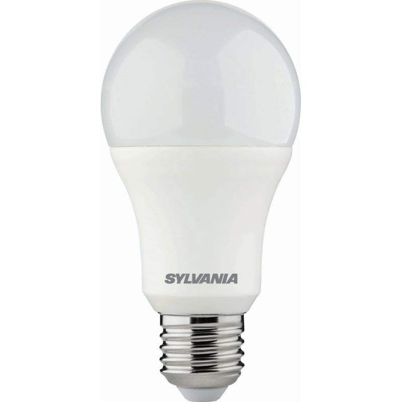 SYL0029593
