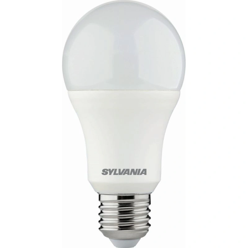 SYL0029593